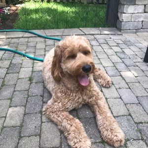 Meet your Posher, Katie